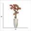 Plante de bonsaï 58 po H