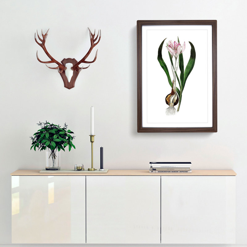 Autumn Crocus Flowers Illustration - Framed Print, 33cm H x 24cm W x 2cm D, Walnut Framed
