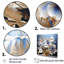 «Crystal Blue Cornflowers Harmony I» sur toile-994567764-994567765