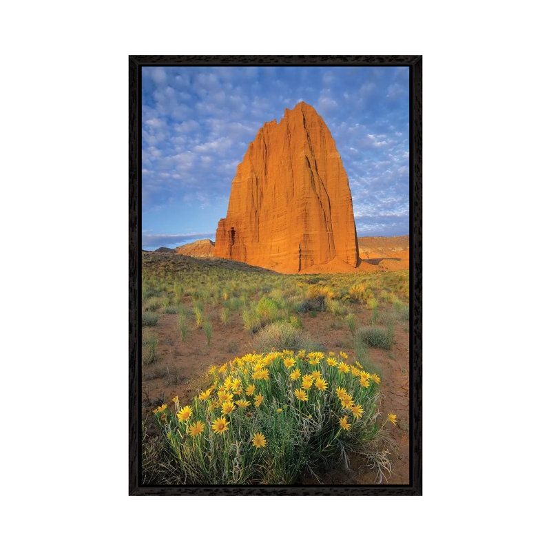 Common Sunflower Cluster And Temple Of The Sun, Capitol Reef National Park, Utah I 1 Piece Wall Art on Canvas, Black Framed