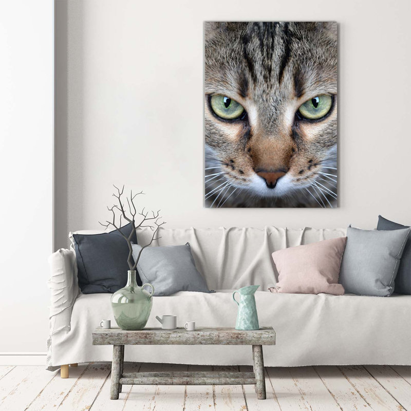 Cat's Eyes - Wrapped Canvas Print