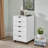 5 Drawer Chest File Cabinet, Wooden Storage Filing Cabinet with Wheels, Office File Cabinet, Office Alex Drawers for File storage-2010742212