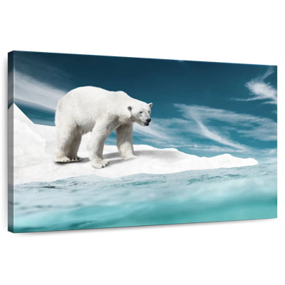 Brampt Ice Bear