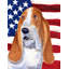 2 côtés en polyester de 2 côtés american drapeau de jardin-1288238570