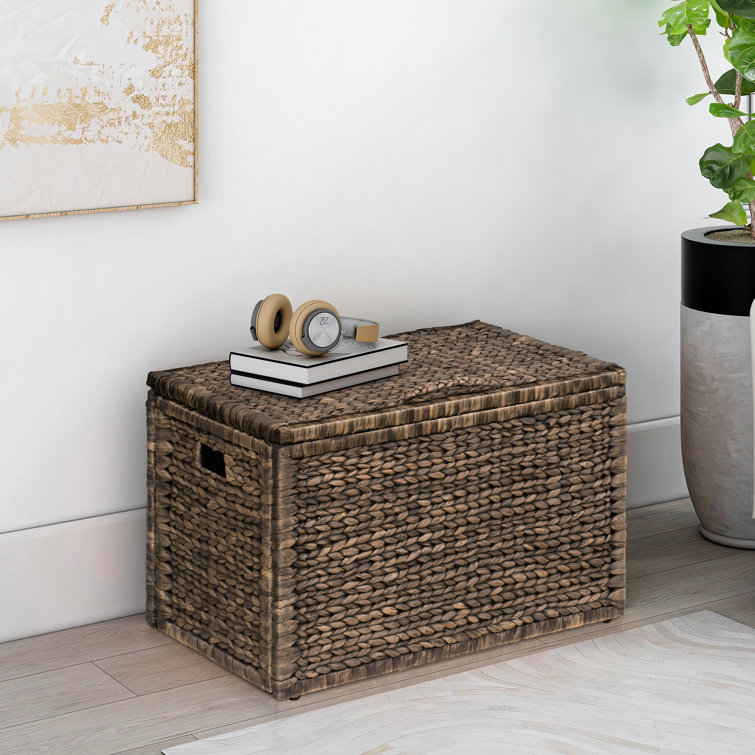 Coffres de rangement - Wayfair Canada