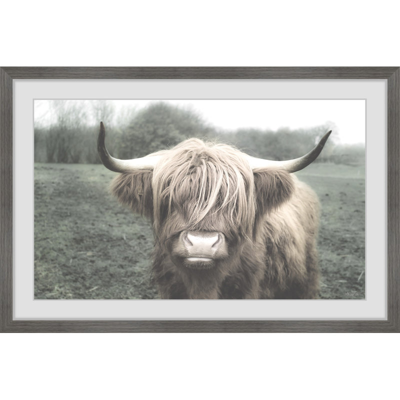 Shaggy Cattle Hair - Print, Grey Framed Paper, 41cm H x 41cm W x 3.81cm D