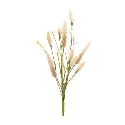 Foxtail Arrangement