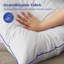Coussin Goose-1820681587