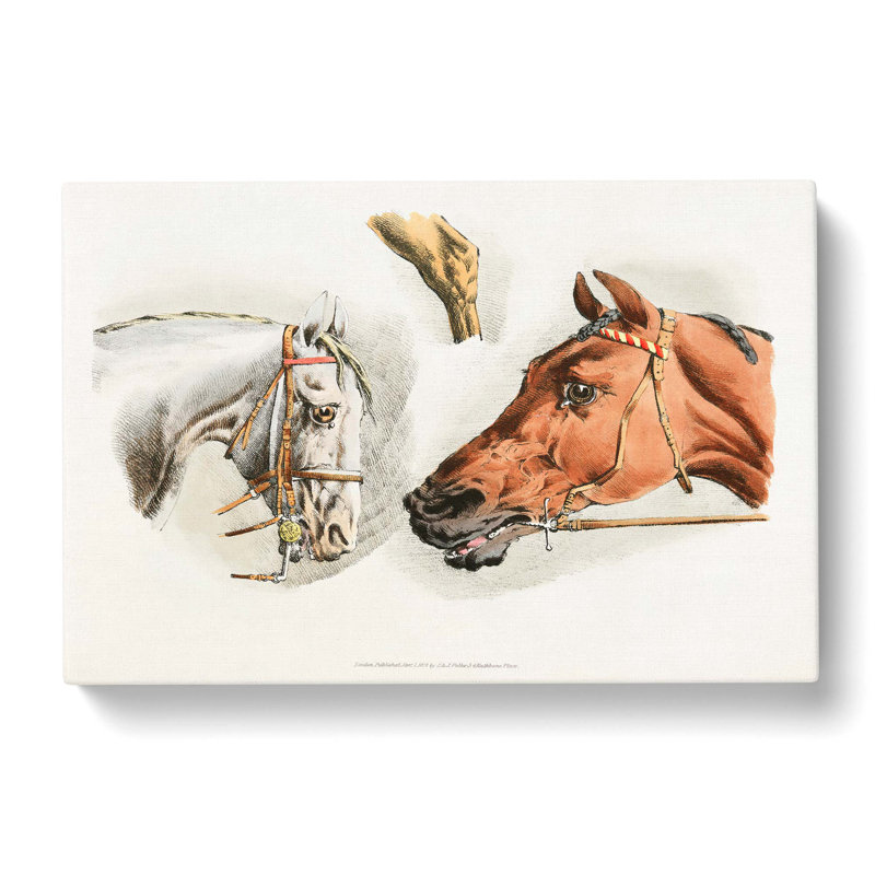 Illustrations Of Horses by Henry Thomas Alken - Wrapped Canvas, 40cm H x 60cm W x 3cm D