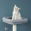 Grand arbre à chat avec très grande surface de repos, structure d'escalade pour chat, boules en peluche suspendues, planche à gratter pour chat et 2 appartements
