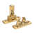 Polished Brass