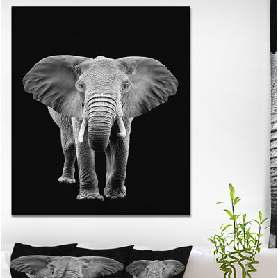 «Elephant on Dark», impression sur toile tendue