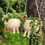 Ellerey Hanging Planter