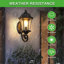 Wall Light