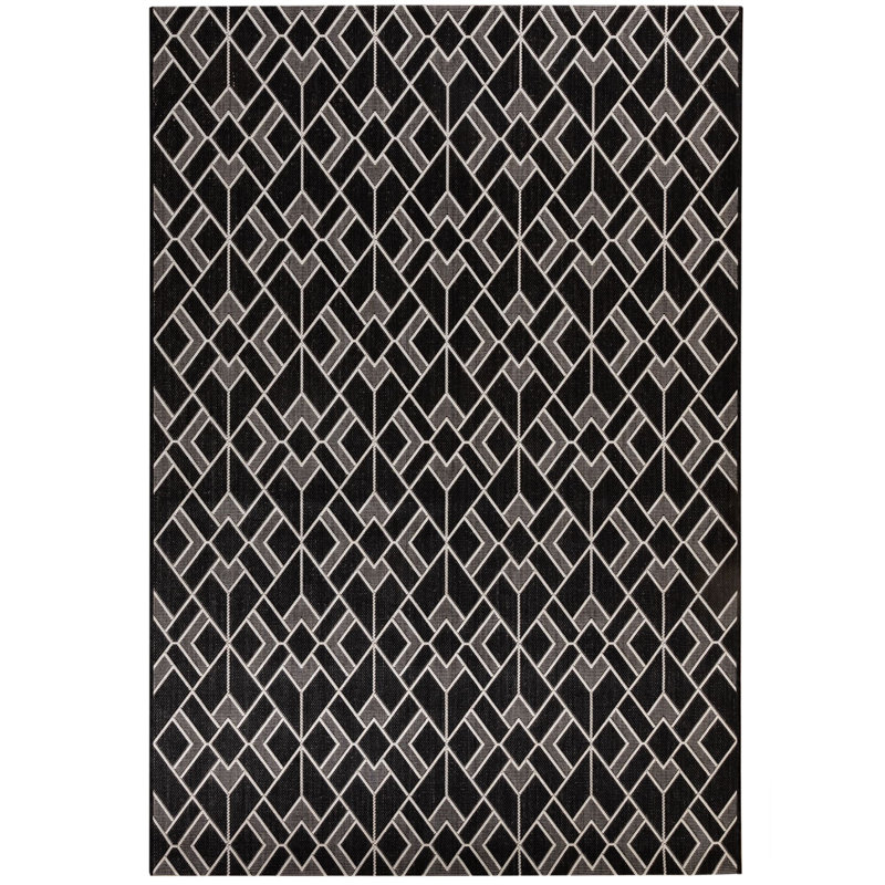 Doon Indoor / Outdoor Area Rug, Black, Rectangle 120cm x 170cm