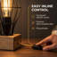 Desk Lamp