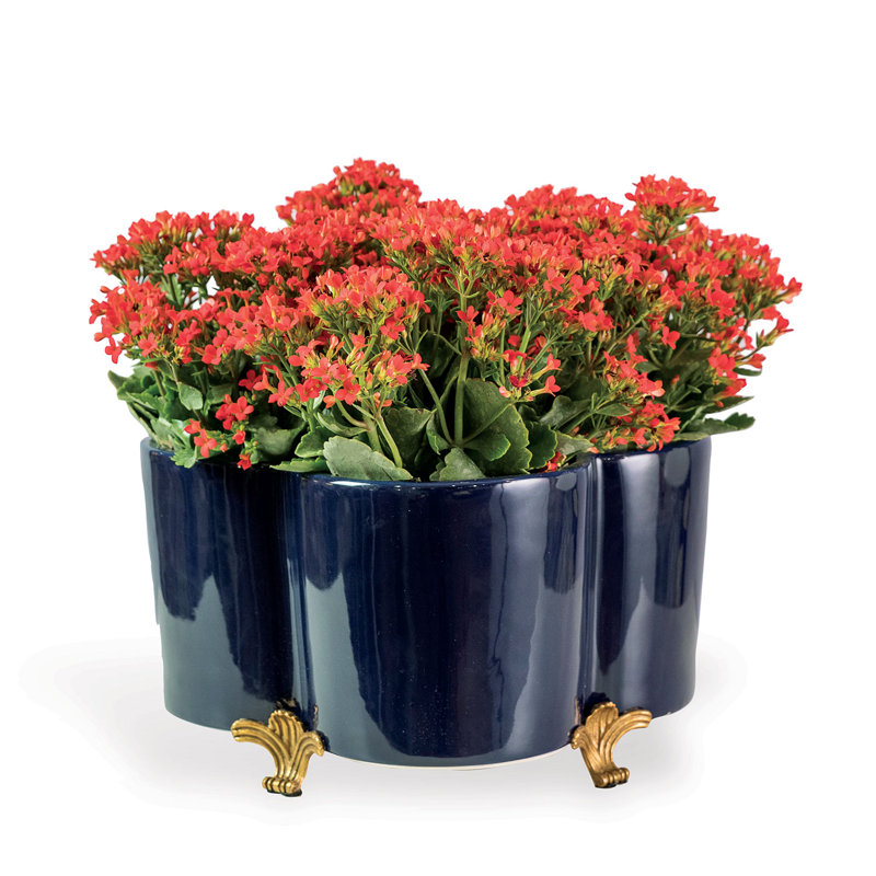 Quatrefoil Planter, Navy
