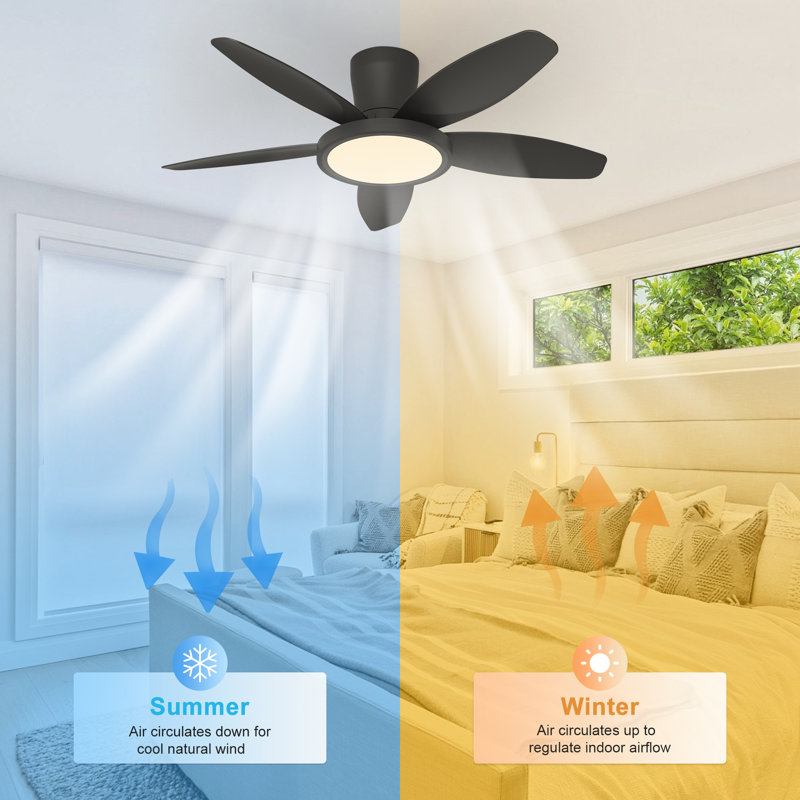 106cm Ceiling Fan with LED Lights, Black, Black
