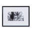 Black And White Palm Leaves A Print