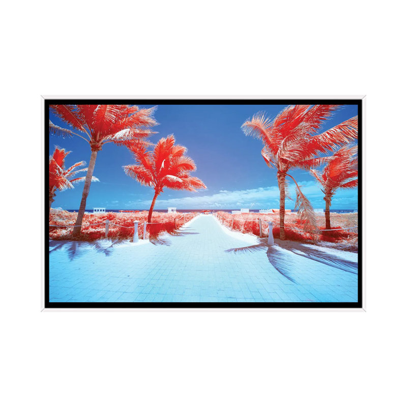 Palm Tree III by Glauco Meneghelli - Floater Frame Print on Canvas