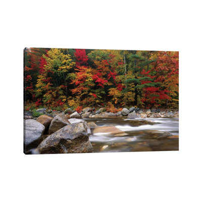 Wild River In Eastern Hardwood Forest, White Mountains National Forest, Maine by Tim Fitzharris - Wrapped Canvas Print