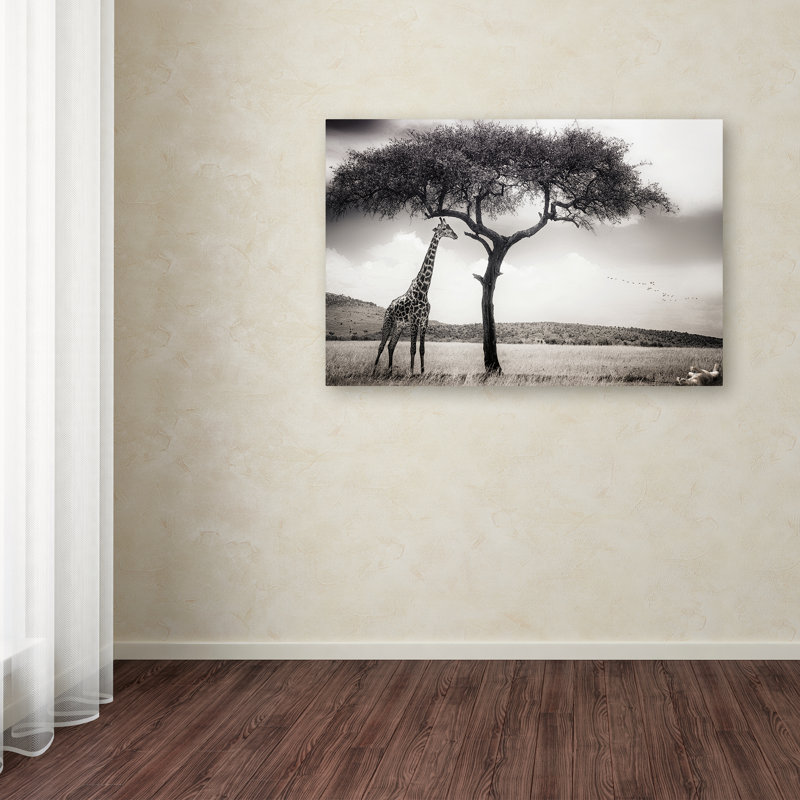 « under the africain sun », reproduction de photo sur toile tendue, H 22 po x l 32 po