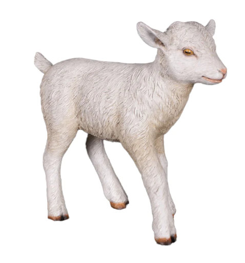 Caleena Baby Goat Life Size Statue