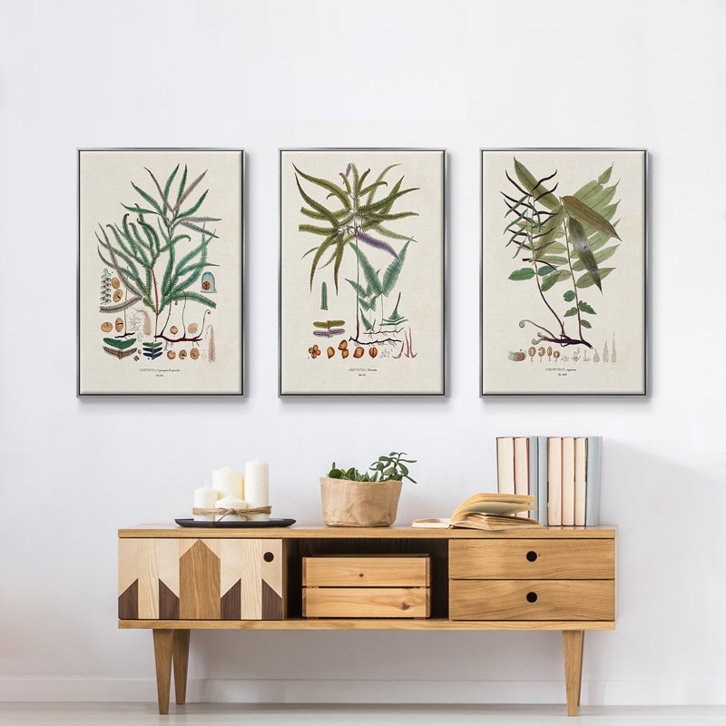 " Botanical Society Ferns VI " 3 - Pieces, H 36 po x l 72 po x P 2 po, Argent