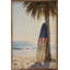 Planche de surf patriotique-1585076569