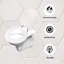 Actaeon Soft Close Elongated Standard Toilet Seat-1390926878