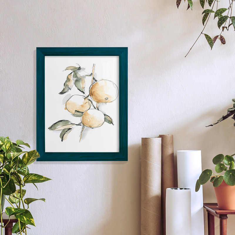 Watercolor Fruit Contour II - reproduction d'art sur toile, H 11 po x l 9 po x P 1 po, Papier avec cadre bleu