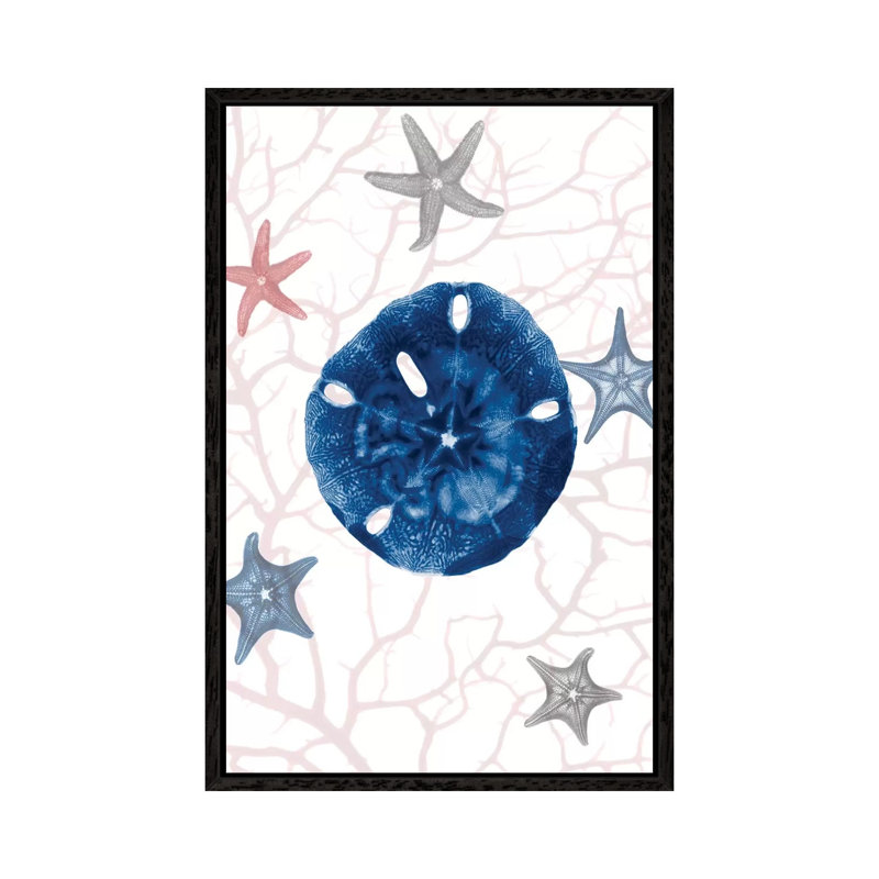 Nautical Splendor I by Albert Koetsier - Print on Canvas, 66.04cm H x 45.72cm W x 3.81cm D, Black Framed