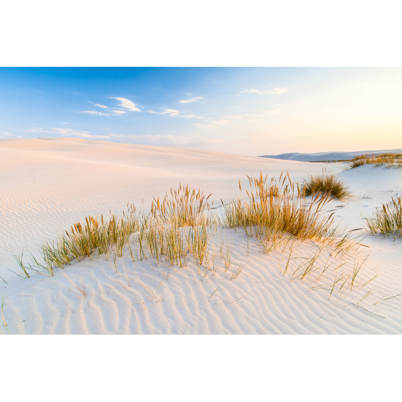 Beautiful View Of The Coastal Dunes - Wrapped Canvas Print, 61cm H x 91cm W x 3.8cm D