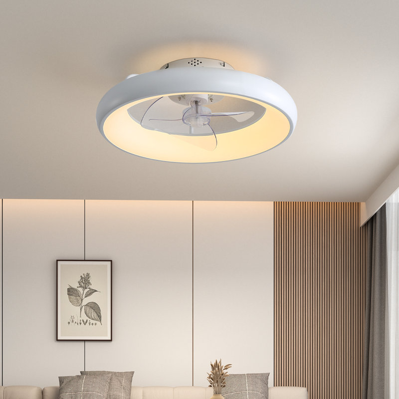 Ceiling Fan with LED Lights