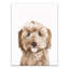 Impression sur toile Sweet Puppy-371673272