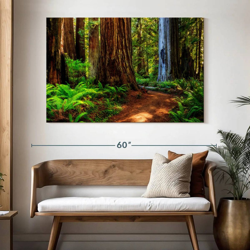 Harnek Sequoia Park Trail, H 34 po x l 51 po