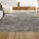 Felicdad Shag Plush Tassel Gray Rug