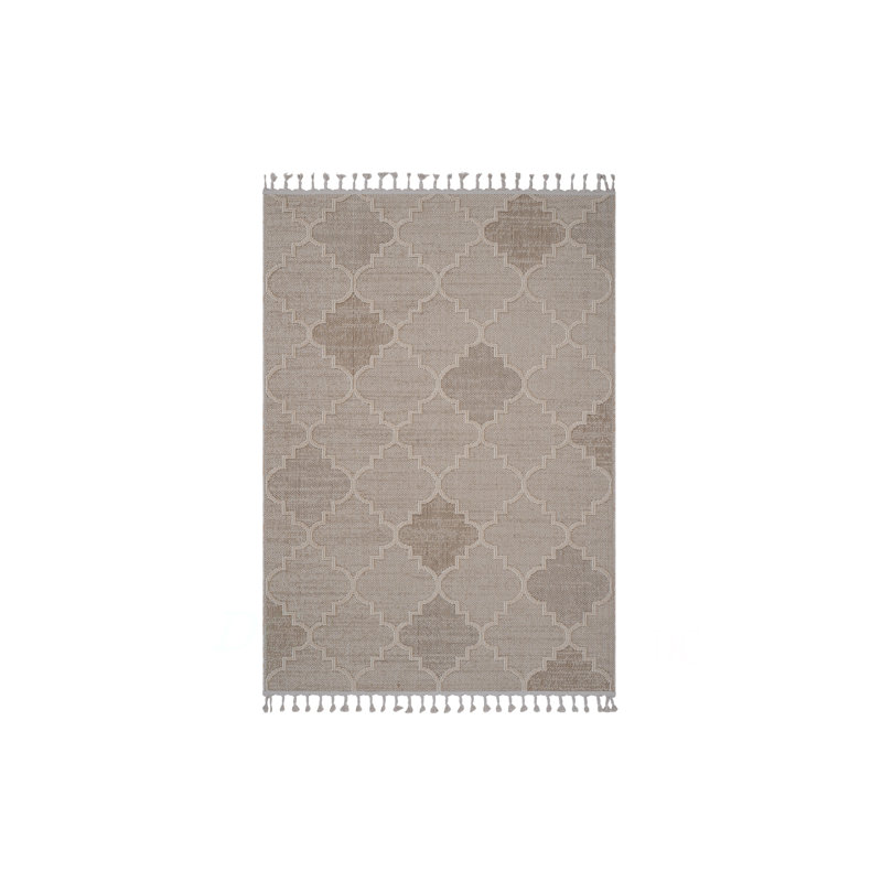 Collection 4X6 Trellis Indoor/Outdoor Area Rug, Rectangle 4' x 6', Brown
