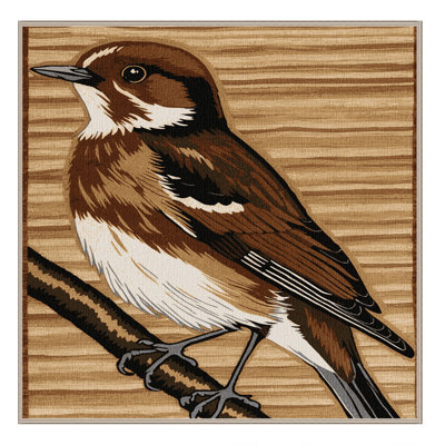 Washable Asian Brown Flycatcher Birds Area Rug