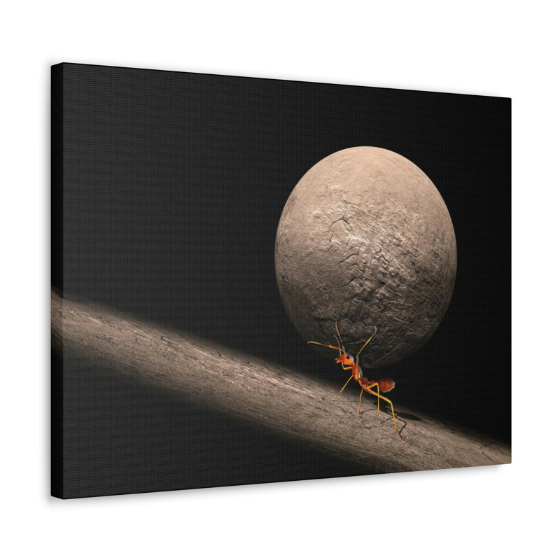 No Frame Print on Canvas, 30.48cm H x 40.64cm W