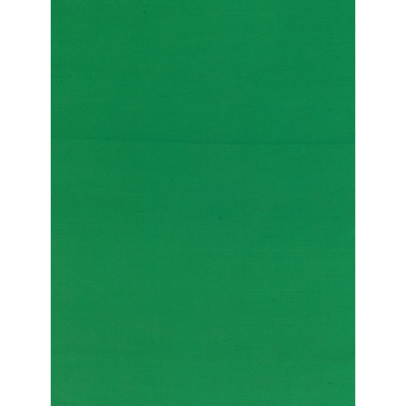 TAFFETA OLYMPIA SOIE, Perroquet