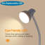 Comesanas Desk Lamp