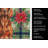 Irish Setter Christmas PoinsettIas Kitchen Towel-2080584021