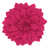 Fuchsia selected