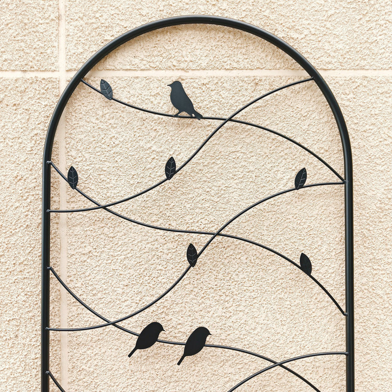 Paquet de 4 treillis de jardin en métal antirouille 19,7 po, H 71 po x l 78,8 po x P 1 po