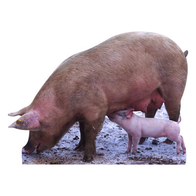 Pig with Piglet Cardboard Standup