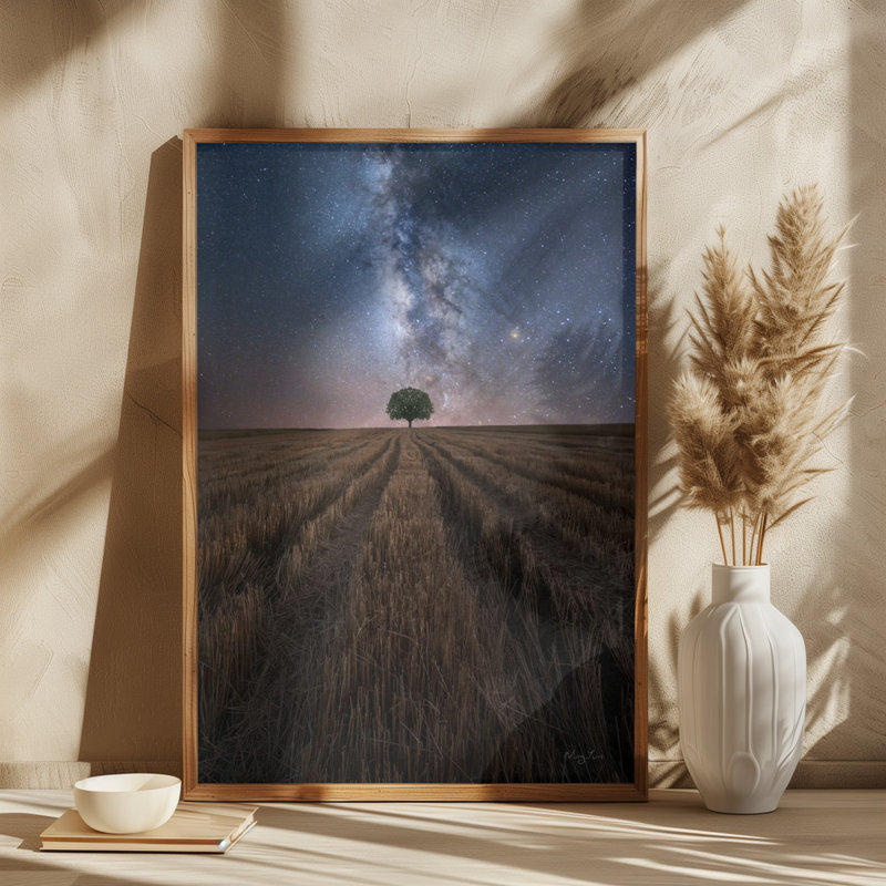 1 Piece Wrapped Canvas Wall Art