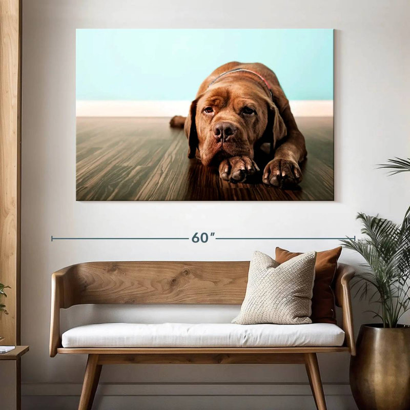 Dogue français Brampt s'ennuie, H 34 po x l 51 po