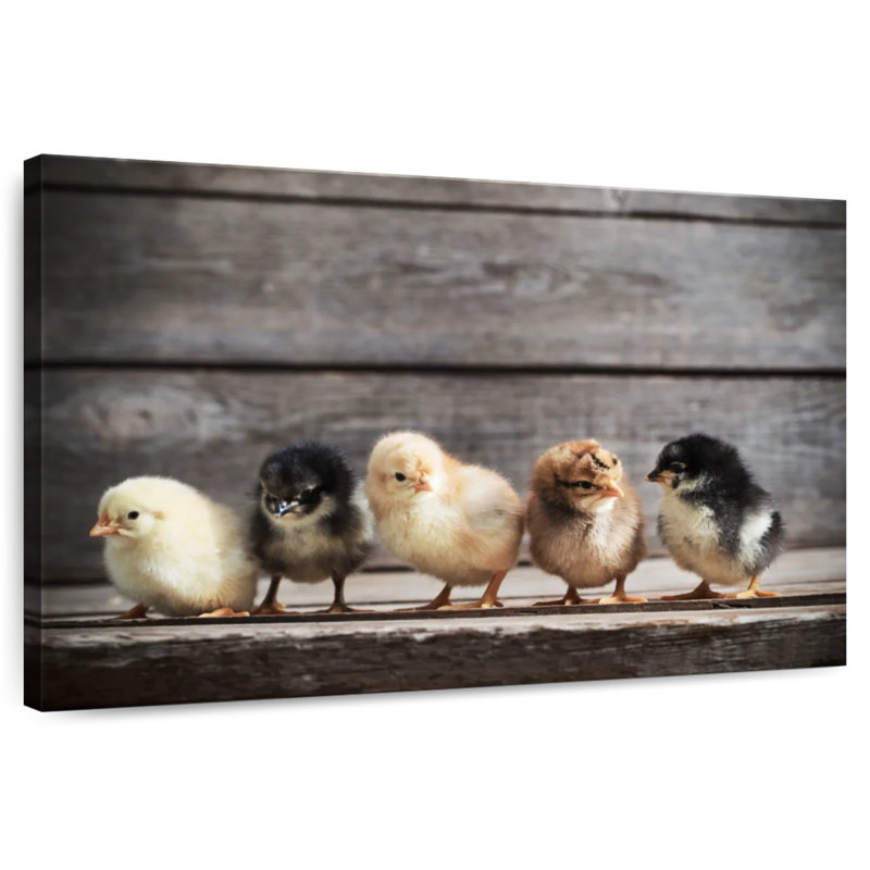 Rangée de poussins, H 8 po x l 12 po