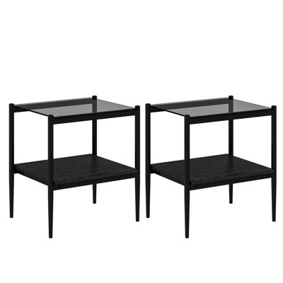 Finkelstein Tempered Glass Side Tables with Shelf